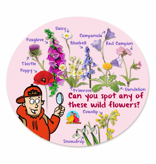 Wild Flower Spotter Playground Sign