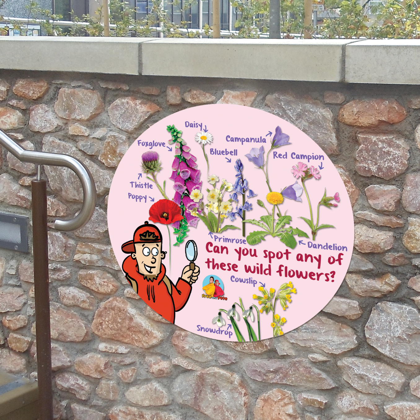Wild Flower Spotter Playground Sign