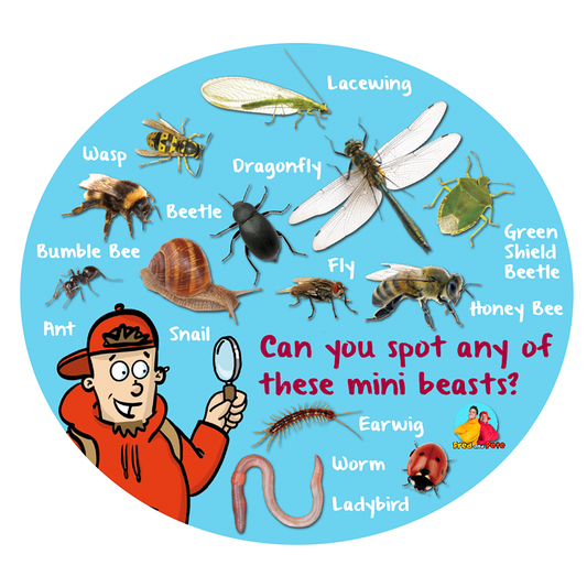 Mini Beast Spotter! Playground Sign