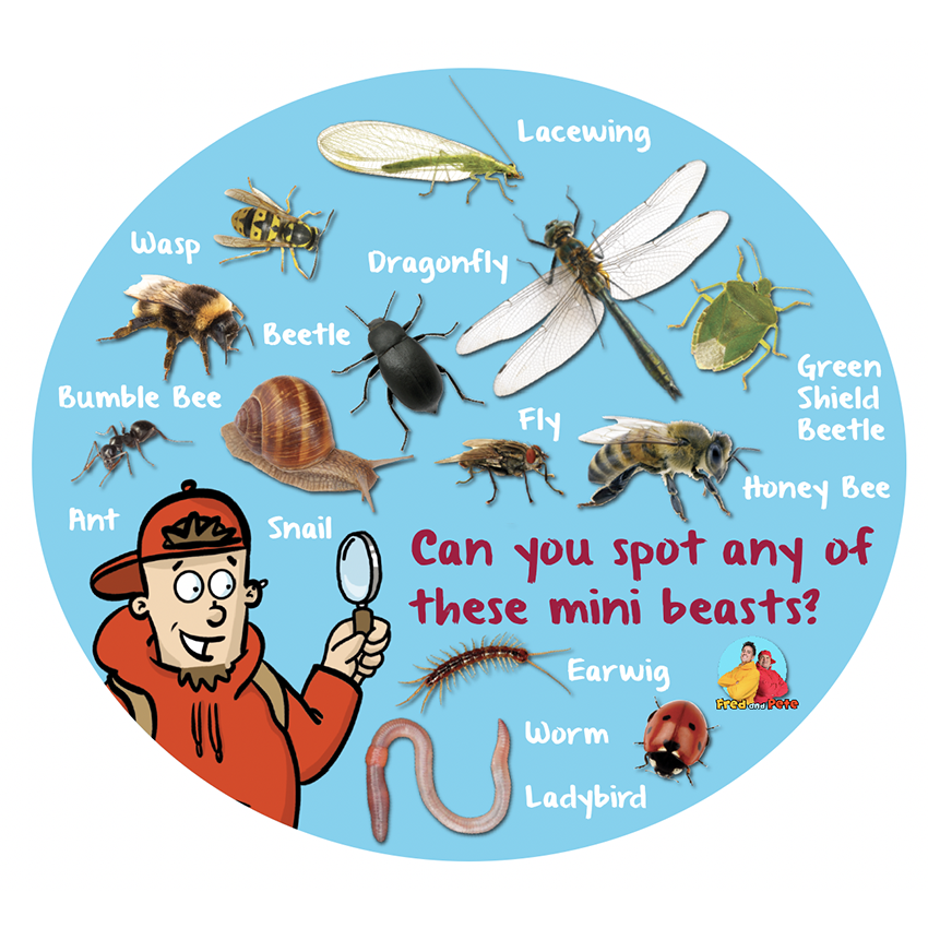 Mini Beasts Mini Beast Spotter! Playground Sign – Fred and Pete